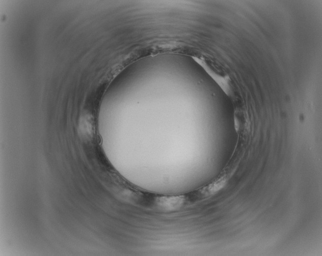 X0000076270135200610191749