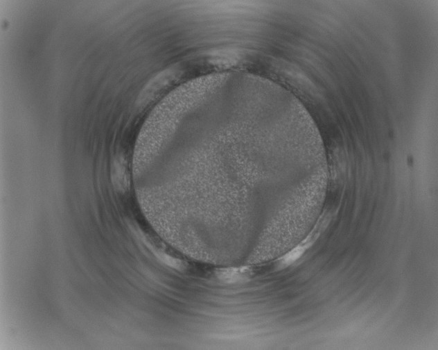 X0000076270136200610191749