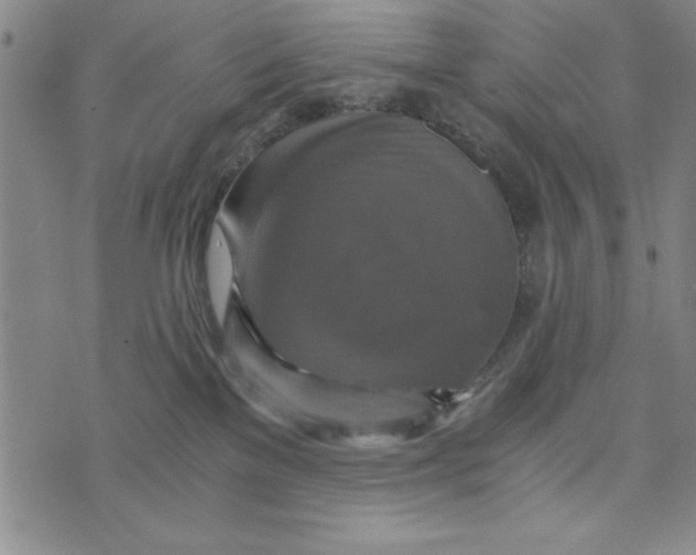 X0000076270137200610191749