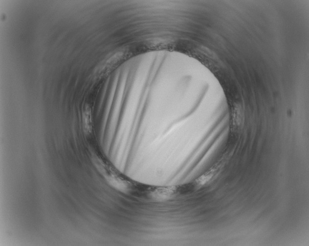 X0000076270138200610191749