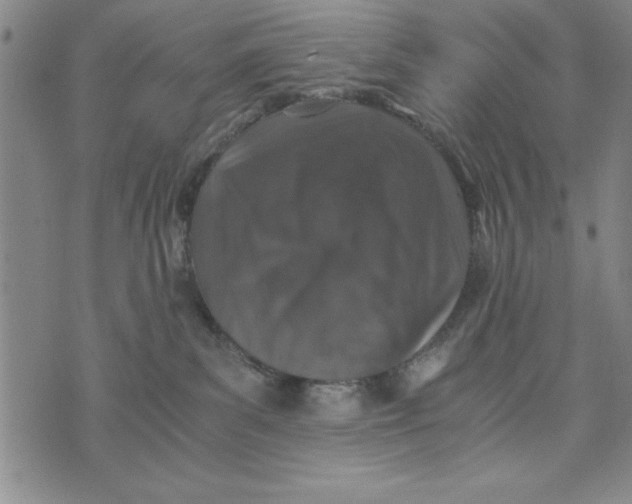 X0000076270139200610191749