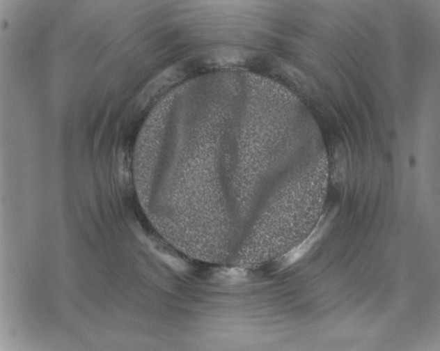 X0000076270140200610191749