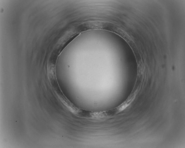 X0000076270141200610191749