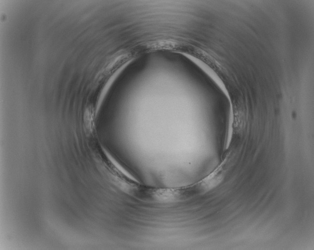 X0000076270142200610191749