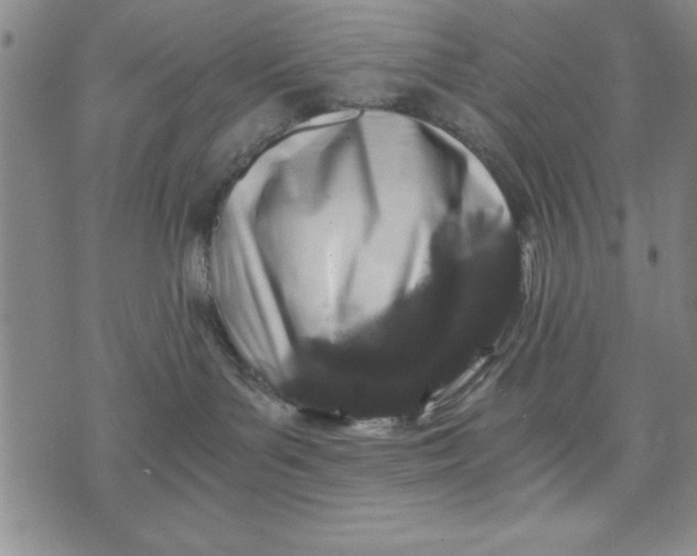 X0000076270143200610191749