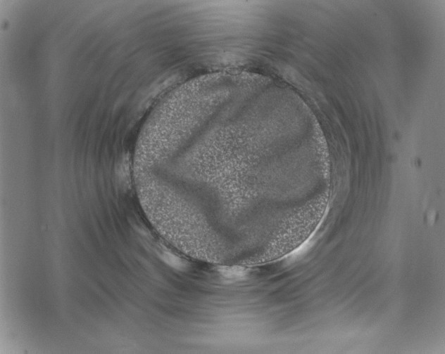 X0000076270144200610191749