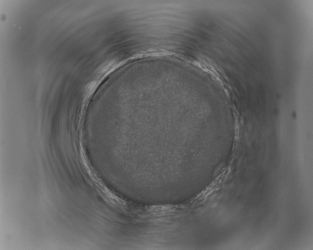 X0000076270145200610191748