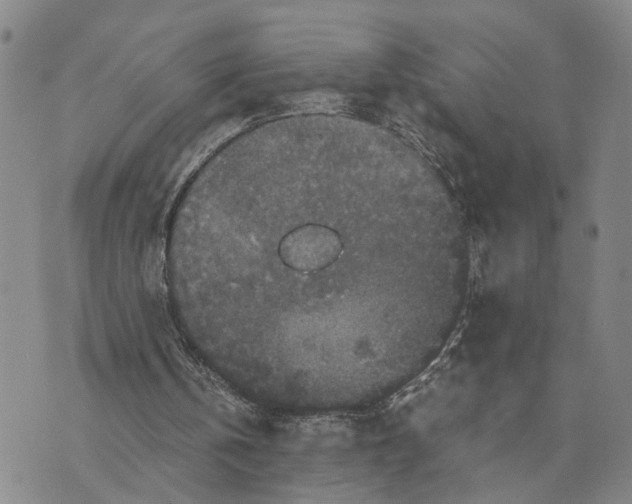 X0000076270146200610191748