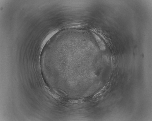 X0000076270147200610191748