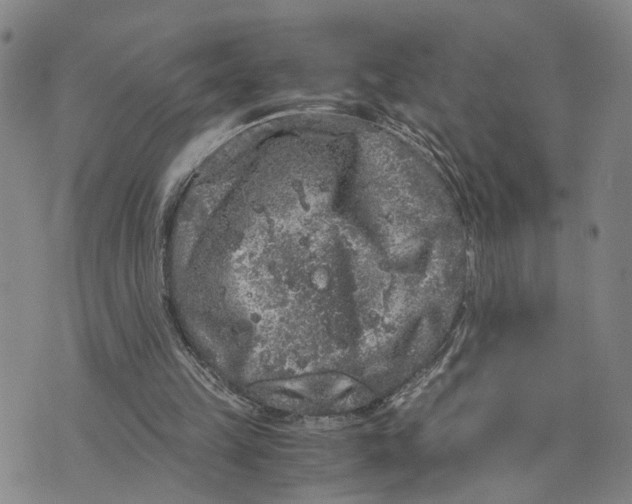 X0000076270149200610191748