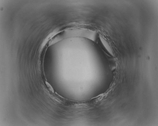 X0000076270150200610191748