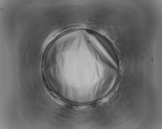 X0000076270151200610191748