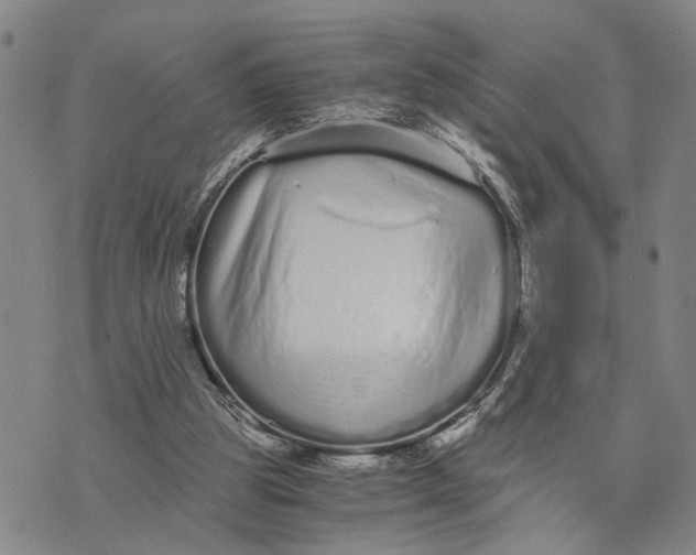 X0000076270153200610191748