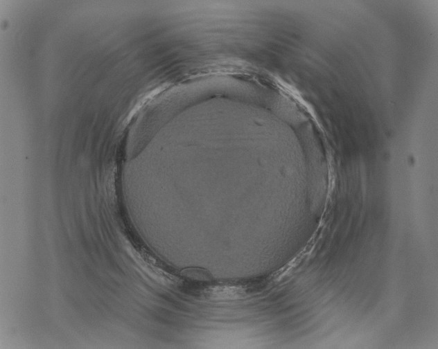 X0000076270154200610191748