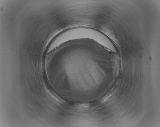 X0000076270156200610191748