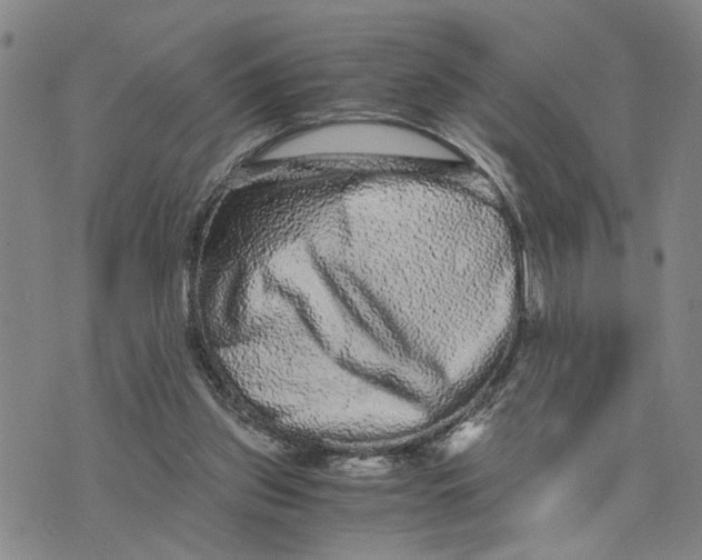 X0000076270157200610191748