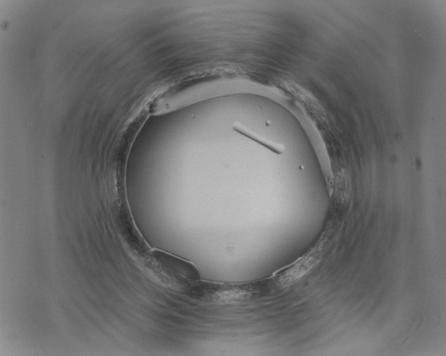 X0000076270158200610191748