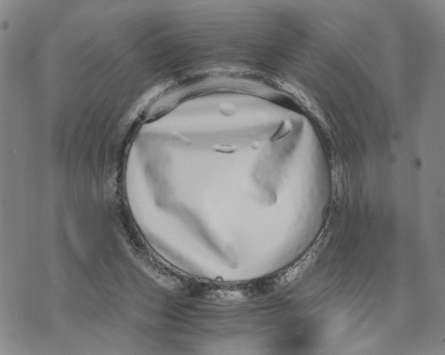 X0000076270159200610191748