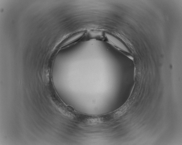 X0000076270160200610191748