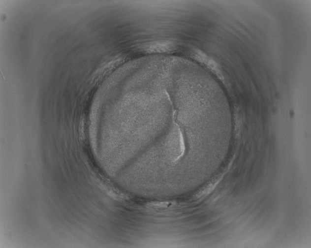 X0000076270161200610191748