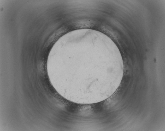 X0000076270162200610191748