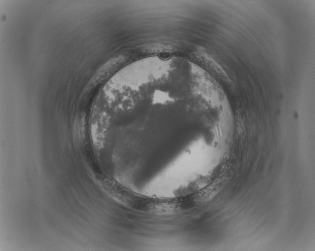 X0000076270163200610191748