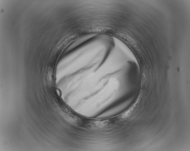 X0000076270166200610191748