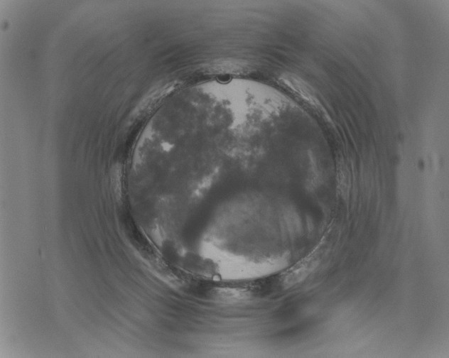 X0000076270167200610191748