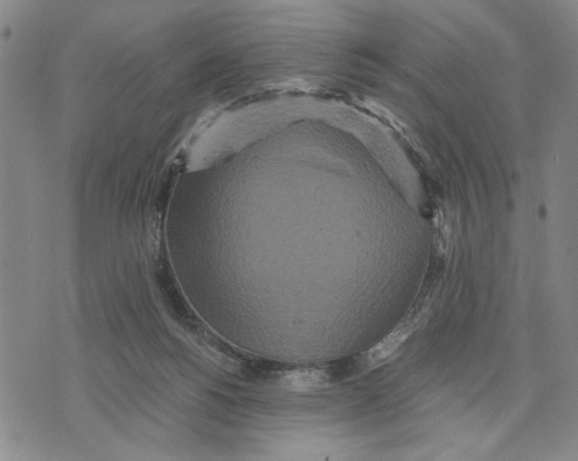 X0000076270168200610191748