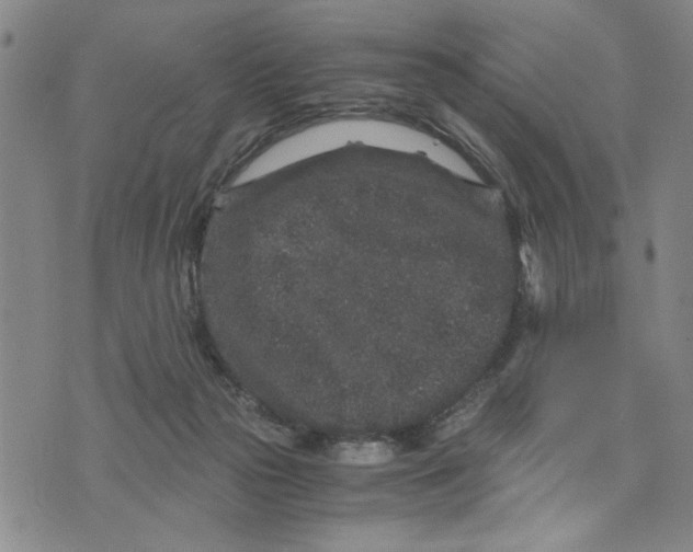 X0000076270169200610191748