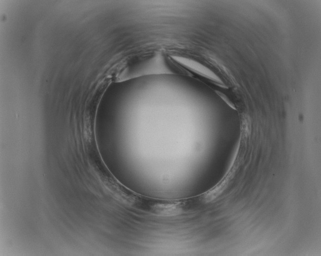 X0000076270170200610191748