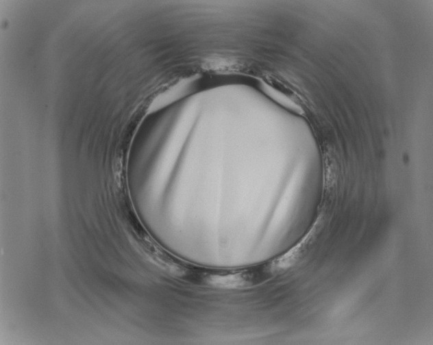 X0000076270171200610191748