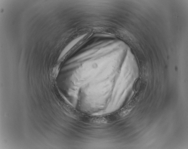 X0000076270173200610191748