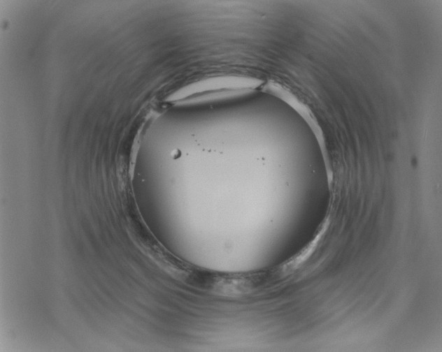 X0000076270174200610191748