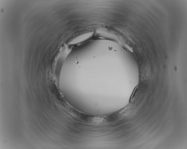 X0000076270176200610191748