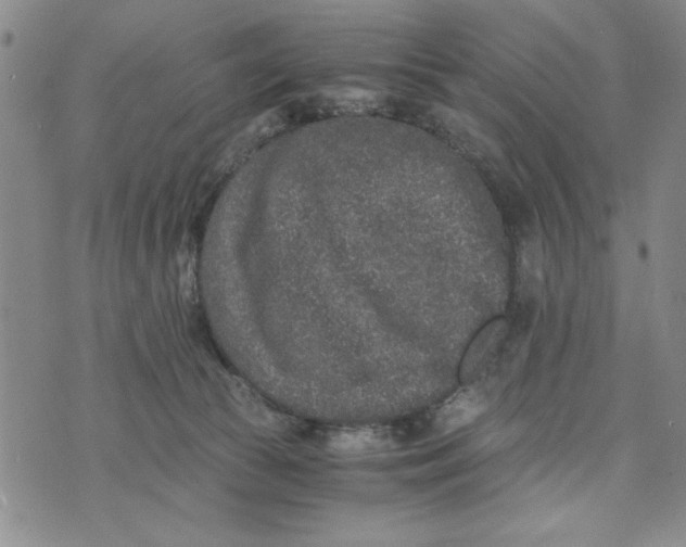 X0000076270177200610191748