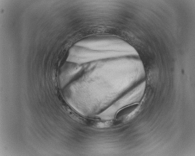 X0000076270178200610191748