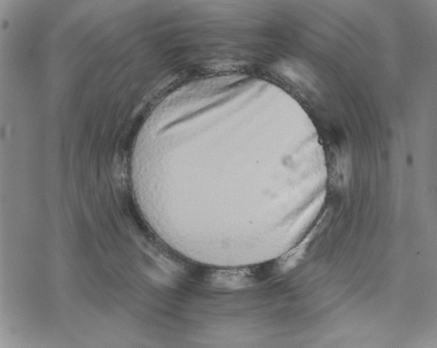 X0000076270179200610191749