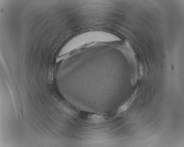 X0000076270180200610191749