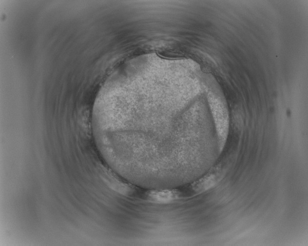 X0000076270181200610191749