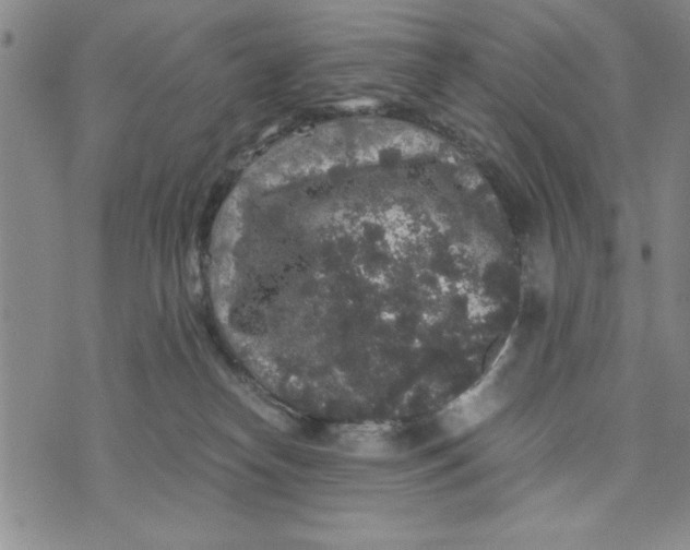 X0000076270182200610191749