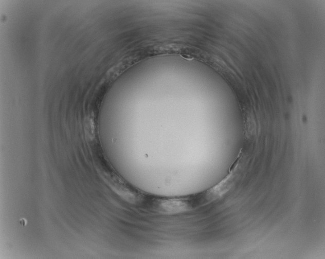 X0000076270183200610191749