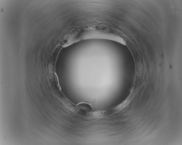 X0000076270184200610191749