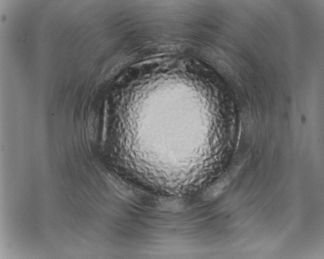 X0000076270185200610191749