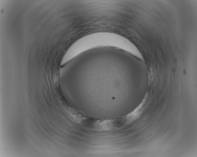 X0000076270186200610191749