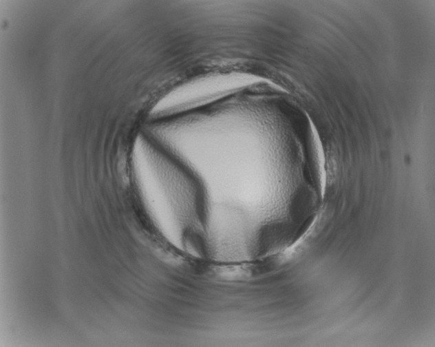 X0000076270187200610191749