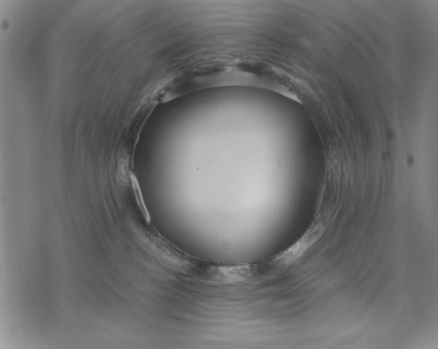 X0000076270188200610191749