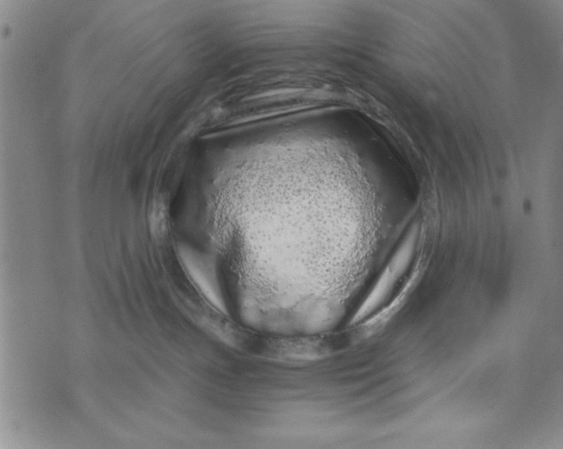 X0000076270191200610191749