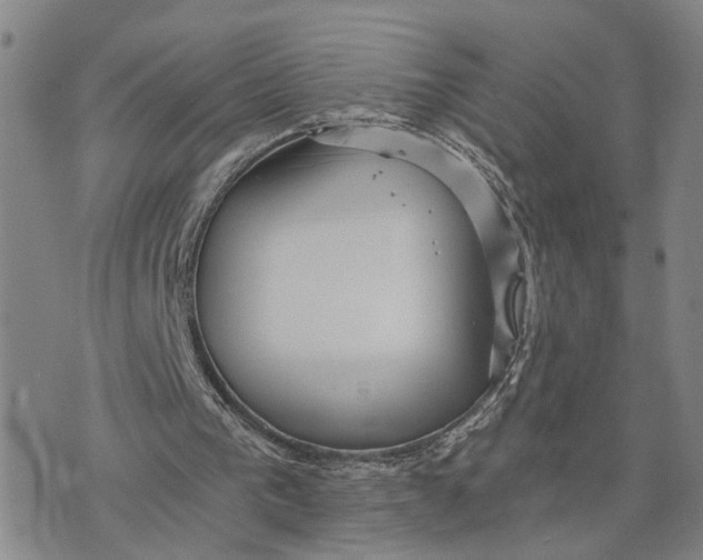 X0000076270193200610191748