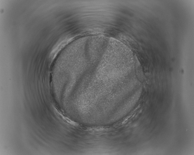 X0000076270194200610191748